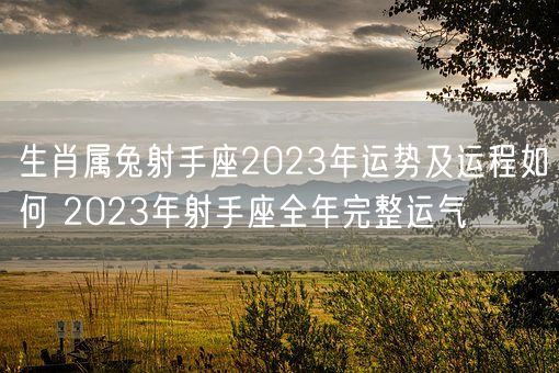 生肖属兔射手座2023年运势及运程如何 2023年射手座全年完整运气(图1)