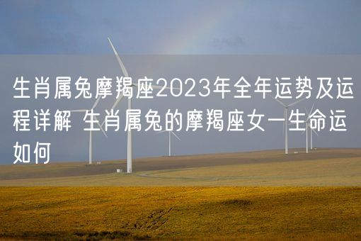 生肖属兔摩羯座2023年全年运势及运程详解 生肖属兔的摩羯座女一生命运如何(图1)