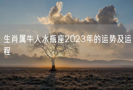 生肖属牛人水瓶座2023年的运势及运程(图1)