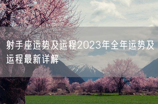 射手座运势及运程2023年全年运势及运程最新详解(图1)