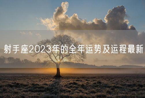 射手座2023年的全年运势及运程最新(图1)