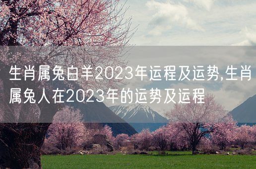 生肖属兔白羊2023年运程及运势,生肖属兔人在2023年的运势及运程(图1)