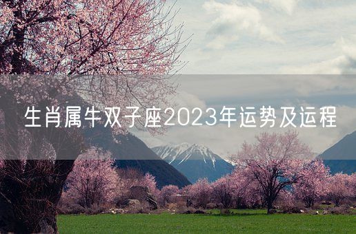 生肖属牛双子座2023年运势及运程(图1)