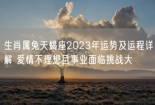 生肖属兔天蝎座2023年运势及运程详解 爱情不理想且事业面临挑战大(图1)