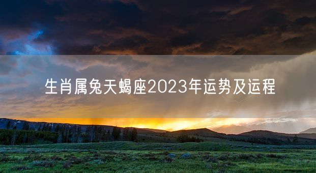 生肖属兔天蝎座2023年运势及运程(图1)