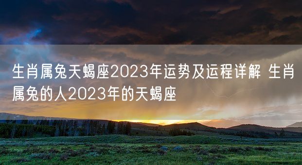 生肖属兔天蝎座2023年运势及运程详解 生肖属兔的人2023年的天蝎座(图1)