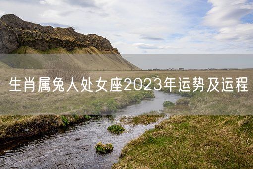 生肖属兔人处女座2023年运势及运程(图1)