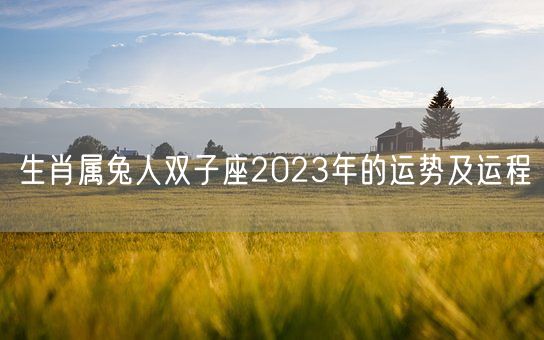 生肖属兔人双子座2023年的运势及运程(图1)