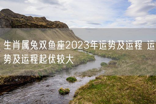 生肖属兔双鱼座2023年运势及运程 运势及运程起伏较大(图1)