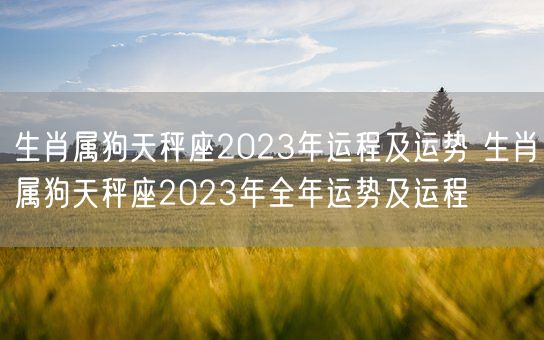 生肖属狗天秤座2023年运程及运势 生肖属狗天秤座2023年全年运势及运程(图1)