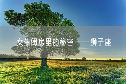 女生闺房里的秘密——狮子座(图1)
