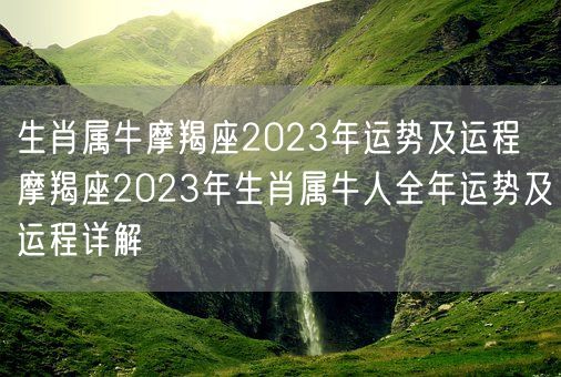 生肖属牛摩羯座2023年运势及运程 摩羯座2023年生肖属牛人全年运势及运程详解(图1)