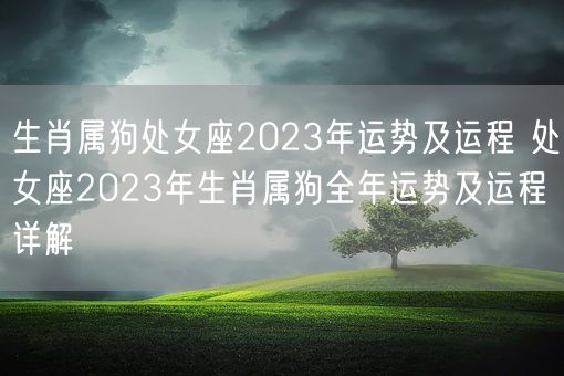 生肖属狗处女座2023年运势及运程 处女座2023年生肖属狗全年运势及运程详解(图1)