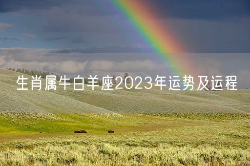 生肖属牛白羊座2023年运势及运程(图1)