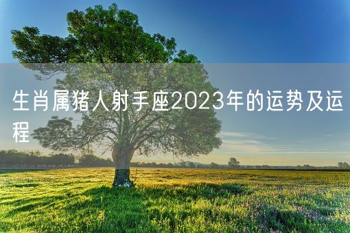 生肖属猪人射手座2023年的运势及运程(图1)