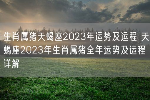 生肖属猪天蝎座2023年运势及运程 天蝎座2023年生肖属猪全年运势及运程详解(图1)