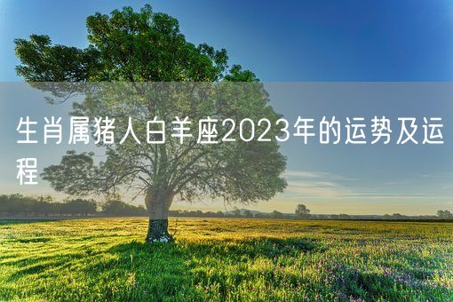 生肖属猪人白羊座2023年的运势及运程(图1)