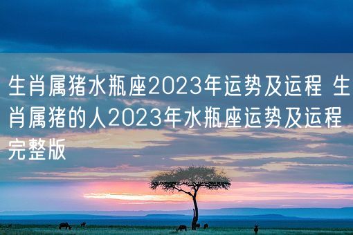 生肖属猪水瓶座2023年运势及运程 生肖属猪的人2023年水瓶座运势及运程完整版(图1)