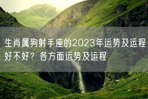 生肖属狗射手座的2023年运势及运程好不好？各方面运势及运程(图1)