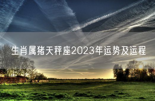 生肖属猪天秤座2023年运势及运程(图1)
