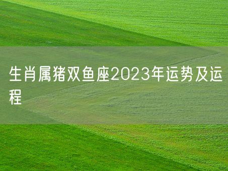 生肖属猪双鱼座2023年运势及运程(图1)