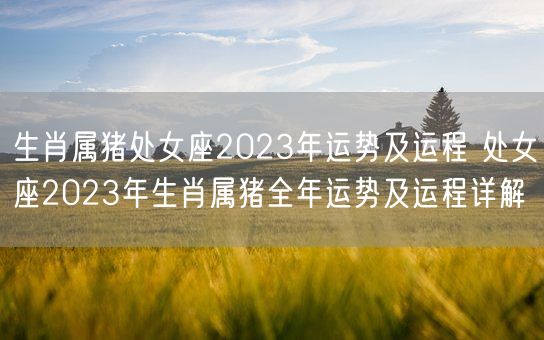 生肖属猪处女座2023年运势及运程 处女座2023年生肖属猪全年运势及运程详解(图1)