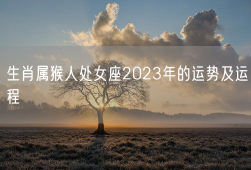 生肖属猴人处女座2023年的运势及运程(图1)