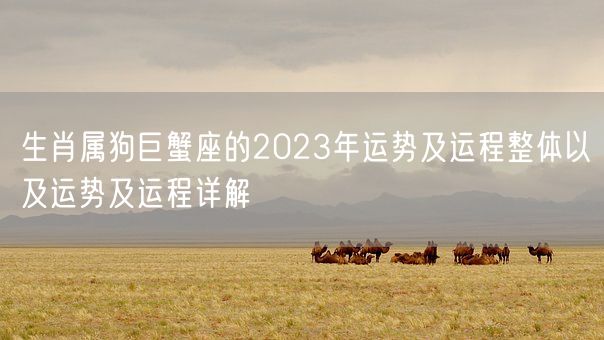 生肖属狗巨蟹座的2023年运势及运程整体以及运势及运程详解(图1)