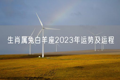 生肖属兔白羊座2023年运势及运程(图1)