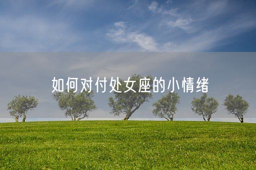 如何对付处女座的小情绪(图1)