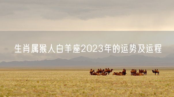 生肖属猴人白羊座2023年的运势及运程(图1)