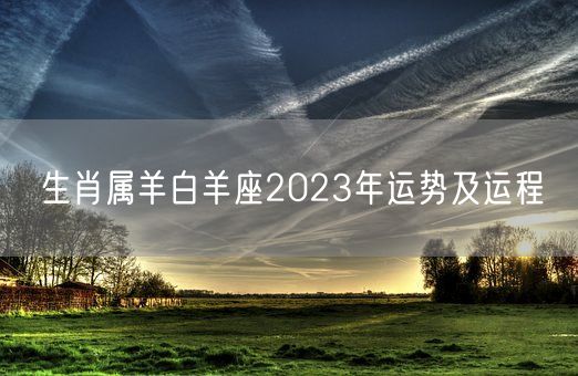 生肖属羊白羊座2023年运势及运程(图1)