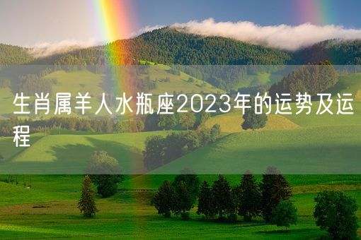 生肖属羊人水瓶座2023年的运势及运程(图1)