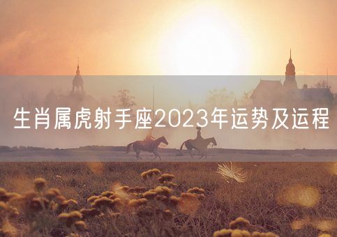 生肖属虎射手座2023年运势及运程(图1)