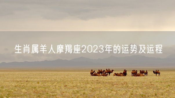 生肖属羊人摩羯座2023年的运势及运程(图1)