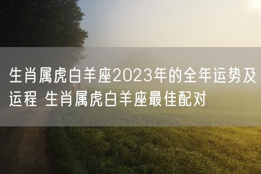 生肖属虎白羊座2023年的全年运势及运程 生肖属虎白羊座最佳配对(图1)