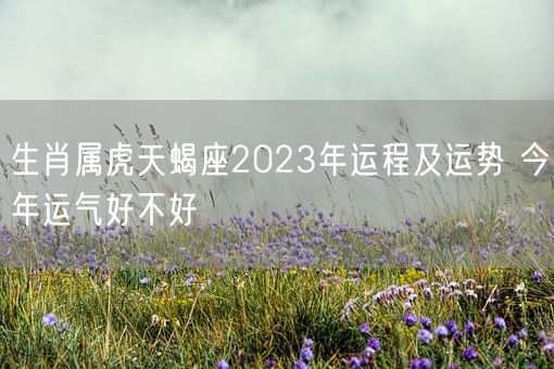 生肖属虎天蝎座2023年运程及运势 今年运气好不好(图1)