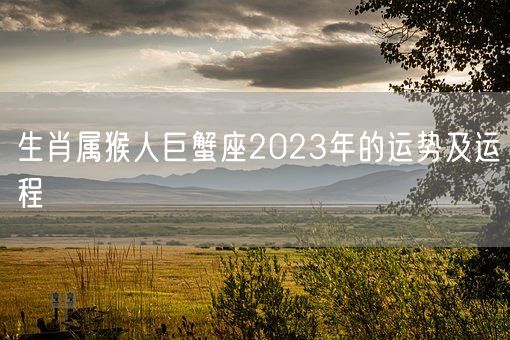 生肖属猴人巨蟹座2023年的运势及运程(图1)