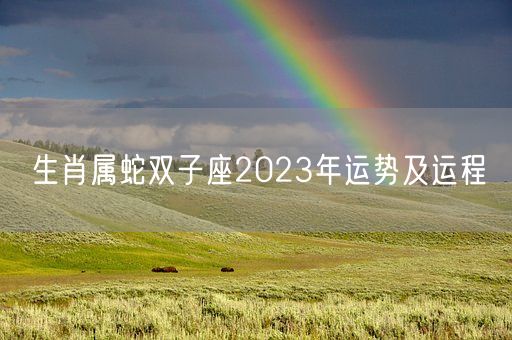 生肖属蛇双子座2023年运势及运程(图1)