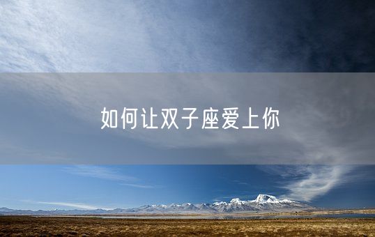 如何让双子座爱上你(图1)