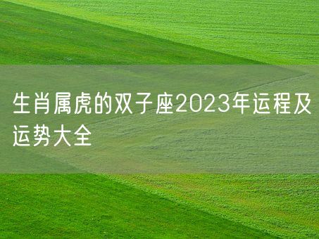 生肖属虎的双子座2023年运程及运势大全(图1)