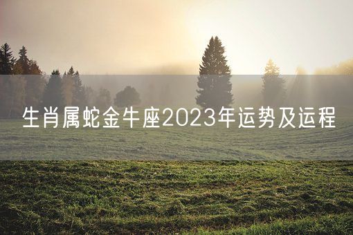 生肖属蛇金牛座2023年运势及运程(图1)