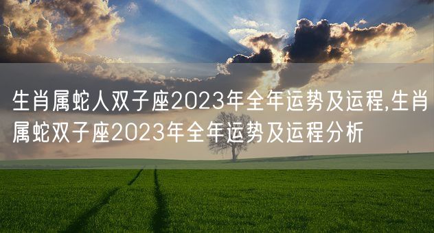 生肖属蛇人双子座2023年全年运势及运程,生肖属蛇双子座2023年全年运势及运程分析(图1)