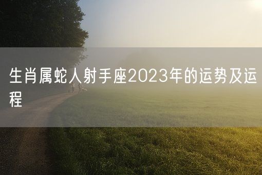 生肖属蛇人射手座2023年的运势及运程(图1)