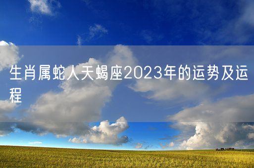 生肖属蛇人天蝎座2023年的运势及运程(图1)