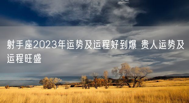 射手座2023年运势及运程好到爆 贵人运势及运程旺盛(图1)