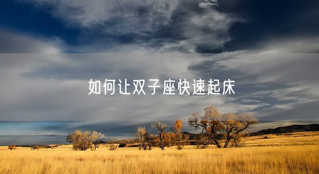 如何让双子座快速起床(图1)