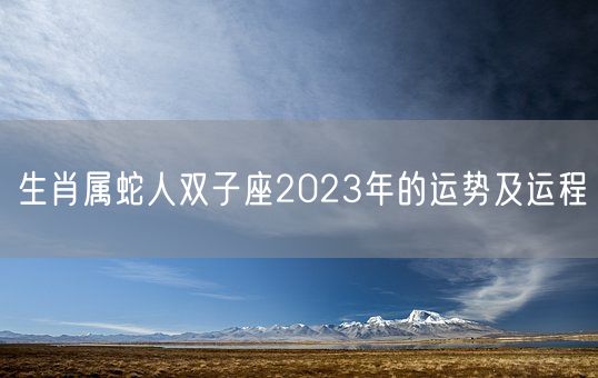 生肖属蛇人双子座2023年的运势及运程(图1)