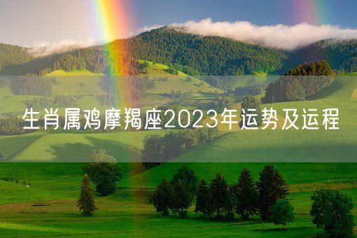 生肖属鸡摩羯座2023年运势及运程(图1)