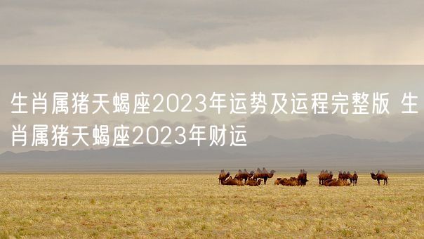 生肖属猪天蝎座2023年运势及运程完整版 生肖属猪天蝎座2023年财运(图1)